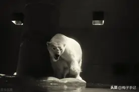 囚徒困境里的非零和博弈图片