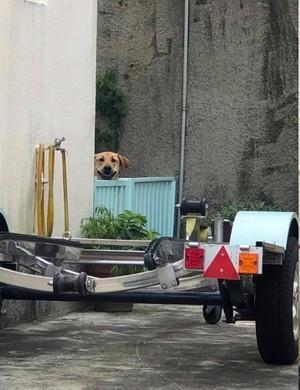 �������˻ؼң�����¶������ü��Ц��Ȼ�������λ����˿�Ц����