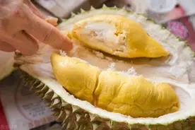一年进口57.5万吨榴莲，为何榴莲还那么贵？看采摘过程明白了图片