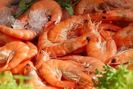 这四种虾，肾病患者不能吃图片