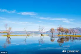 本事强有天赋，却善于隐藏实力的星座，不声不响收获成功图片