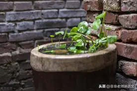 语文高三模拟试题：2020届天津红桥区高三模拟语文试题及答案图片