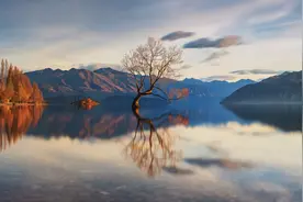 草不黄俗话说102：你抬杠，我也来抬杠图片