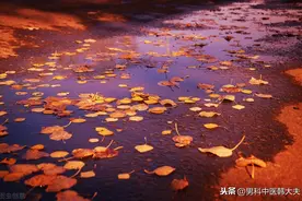 人如树，肾如根，日常生活中该如何养肾护肾？图片