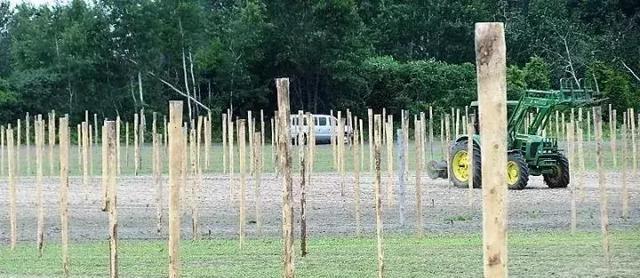 鏋佸湴澶╃劧瑗挎磱鍙傦紝鍛婅瘔浣犱笉鐭ラ亾鐨勫仴搴风瀵? onerror=