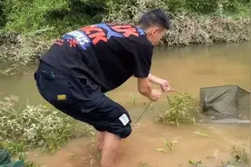 因为洪水，湖南一河道冲来大量黑鱼，将成生态隐患？图片