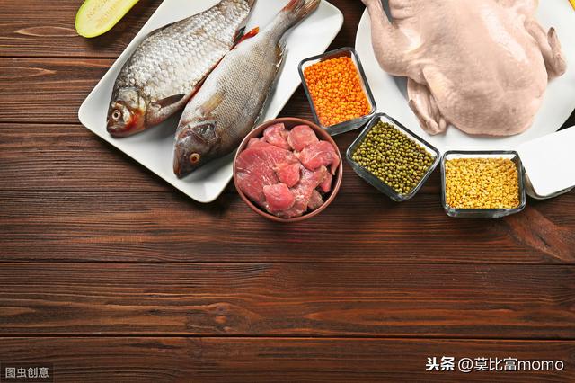 如何提升身体，对蛋白质的吸收能力？