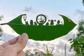 童话故事也能被雕刻在叶片上？一起来看看艺术家叶雕的微型世界图片