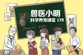 猫咪成长过程中会变丑一段时期，铲屎官要有信心，才能更快熬过去图片