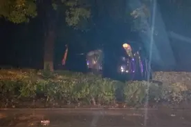 男子开宝马搭讪外籍女子，上车后两人同饮啤酒并开车，结果车辆侧翻｜申晨间图片