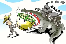 耕地栽树到底允许吗？新规这5点很严厉，违规植树立即停止并严惩图片