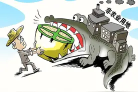 耕地栽树到底允许吗？新规这5点很严厉，违规植树立即停止并严惩图片