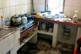 去领导家吃饭，一进厨房呆愣了，那叫一个干净，拍给大伙看看图片
