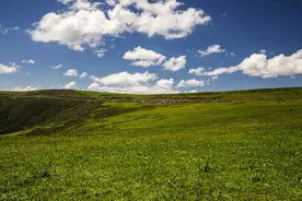 距离保定仅二小时的凉都——蔚县空中草原图片