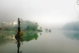 回不来的池塘，茂密的芦苇荡，儿时记忆里的美好图片