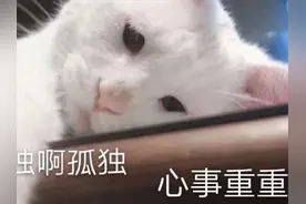 表情包：反正爱情不就都那样  我早就看出来你不爱我了图片