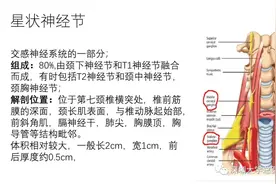 精品课件丨星状神经节阻滞图片