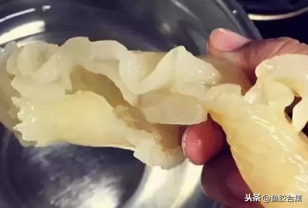 如何清洗花胶的油 花胶的油脂怎么清洗