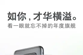 魅族17系列手机参数公布 搭载骁龙865特猛特快还省电图片