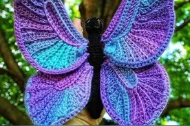 「针织作品」栩栩如生的美丽蝴蝶图片