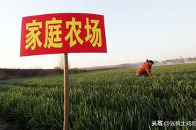 2021年最新的家庭农场补贴政策来啦！这么多补贴你准备好了吗图片