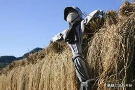 南昌大学（历史学）硕士研究生连续两年全员录取，2020录取18人图片