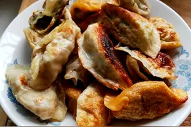 西红柿鸡蛋、韭菜鸡蛋、黄瓜鸡蛋、茄子青椒木耳、冬瓜馅饺子做法图片