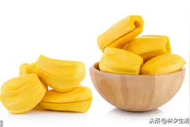 菠萝蜜，菠萝蜜图片