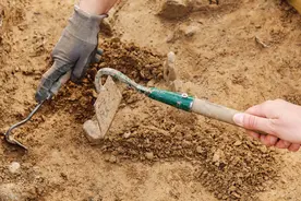 揭开孟加拉国毗诃罗普尔古城面纱图片