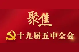 区委书记们谈如何学习贯彻党的十九届五中全会精神图片