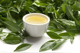 这六种茶最好不要喝图片