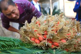 上联:千年铁树终成果下联:友友们请图片