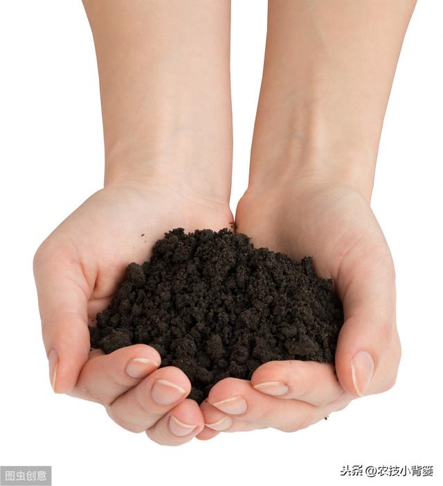 腐殖酸（肥）对土壤作物有大价值，但要注意功效特性与使用方法