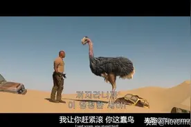 在沙漠里惹怒一只鸵鸟的后果：被成千上万只鸵鸟暴走追到死图片