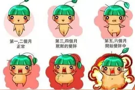 地表最强 | 时尚孕妈时髦又洋气的穿搭法则图片