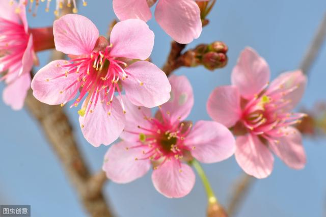 高中生物必修1这58个“坑”千万别掉进去