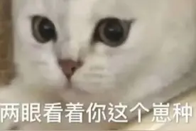 沙雕表情包：两眼看着你这个崽总图片