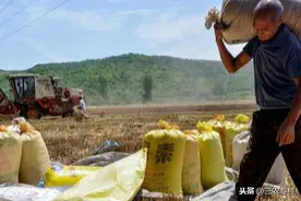 一个农民的几句大实话，说出了农民不愿进城落户的真正原因图片