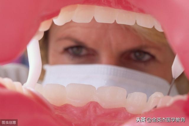 角化的复层上皮分布于