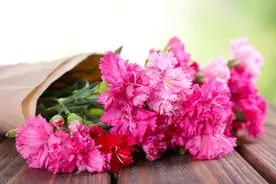 不同场合怎么送花？牢记这些花的花语，再也不用担心送错花图片