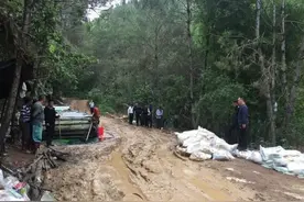 胆大包天！广西一山场主竟出租山场供人盗采稀土被逮捕图片