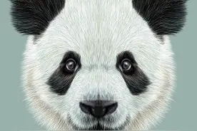让世界了解中国，我们还有很长的路要走图片