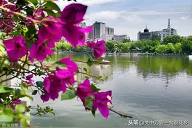语文天地： 常用的敬辞和谦辞图片