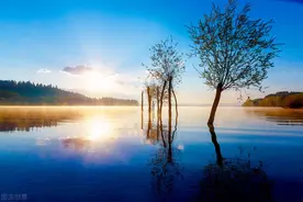 CCAA2020年11月质量管理体系基础知识试卷（含答案）图片