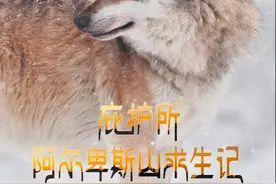 豆瓣9.7，这神仙爱情故事不属于人类图片