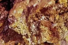 世界上“最尴尬”的金矿，到处是黄金无人挖，淘金者：蠢才会去图片