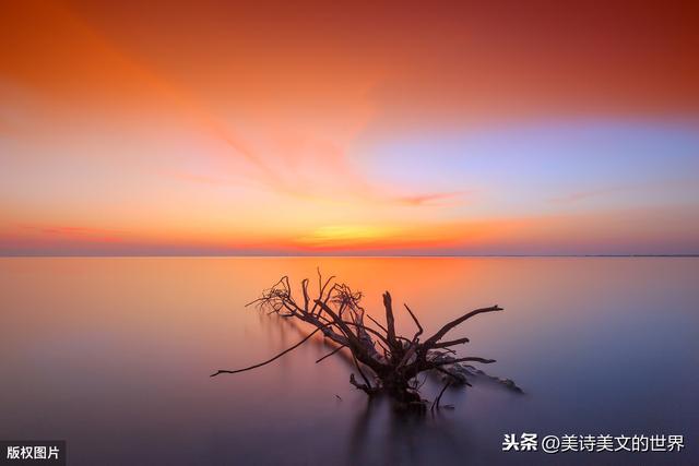 “半江瑟瑟半江红”中的“瑟瑟”到底何意？诗词大会难住55位高手