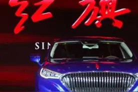 喜提红旗H5第一天就撞电线杆，挪车后，车主：我没看错吧？图片