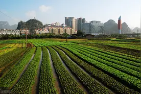 产权置换：征迁双方的利益“杠杆”图片