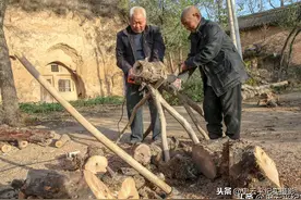 大山里二哥照护大哥十几年，有咱吃的就有他吃的，情分感人至深图片
